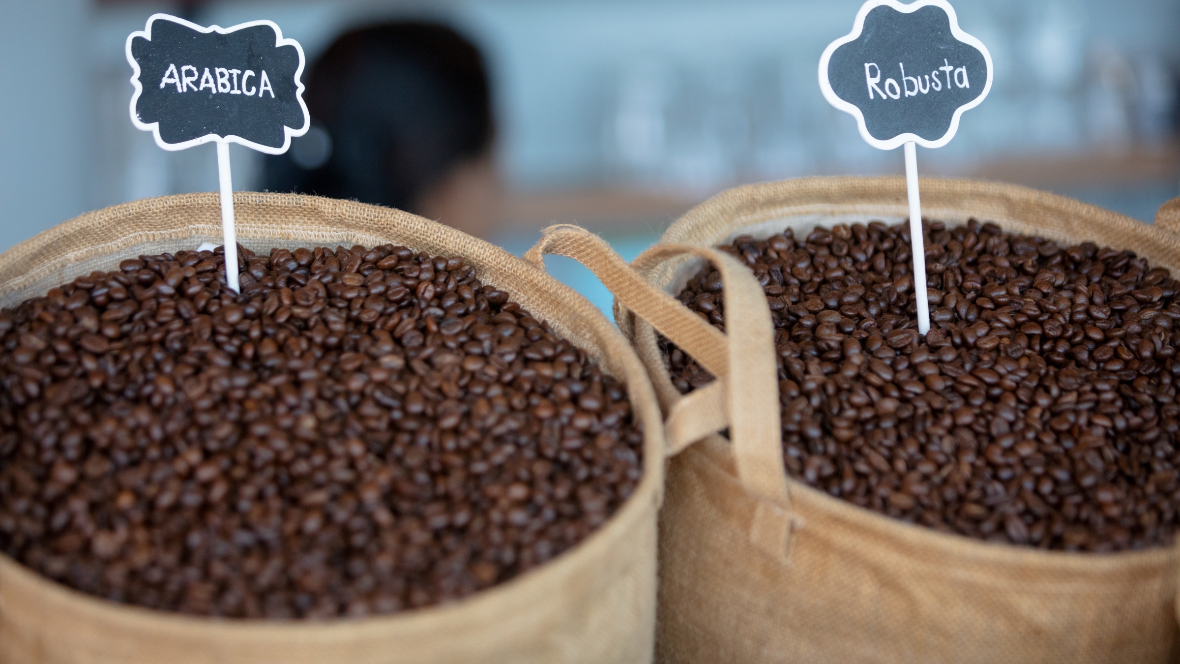 Arabica vs. Robusta Bohnen