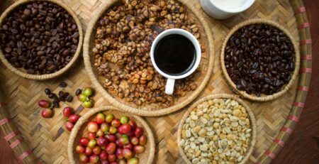 Der teuerste Kaffee der Welt_ Von Elefanten oder Katzen