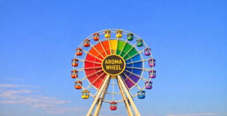 Kaffee Aromaprofil, welche Aromen gibt es bei Kaffee Coffeechecker klärt auf